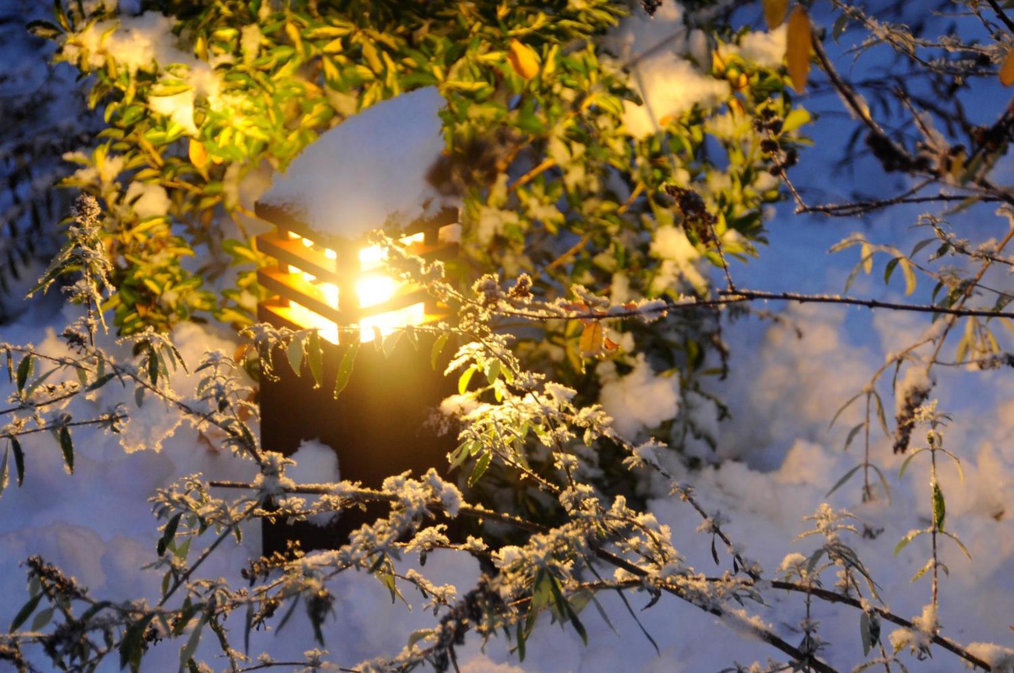 Apparthotel Gartenresidence Nalserhof ภายนอก รูปภาพ